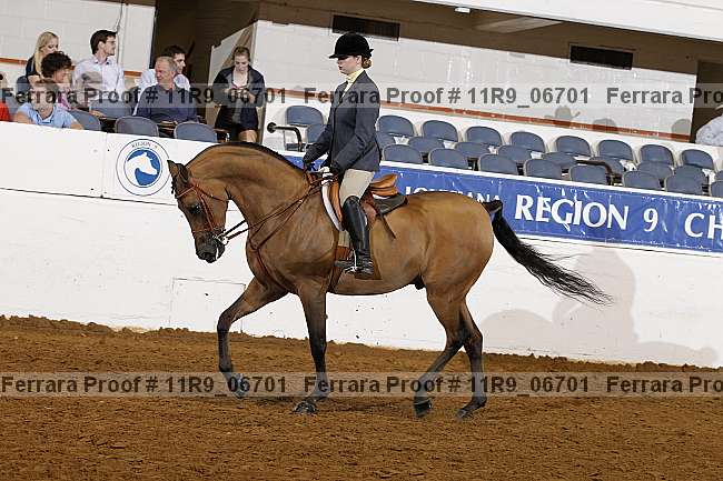 Proof 11r9_06701