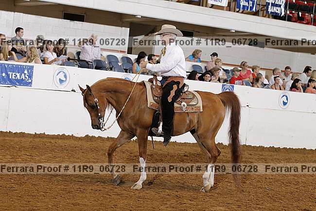 Proof 11r9_06728