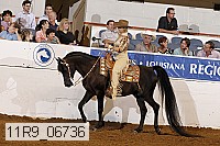 11r9_06736 proof