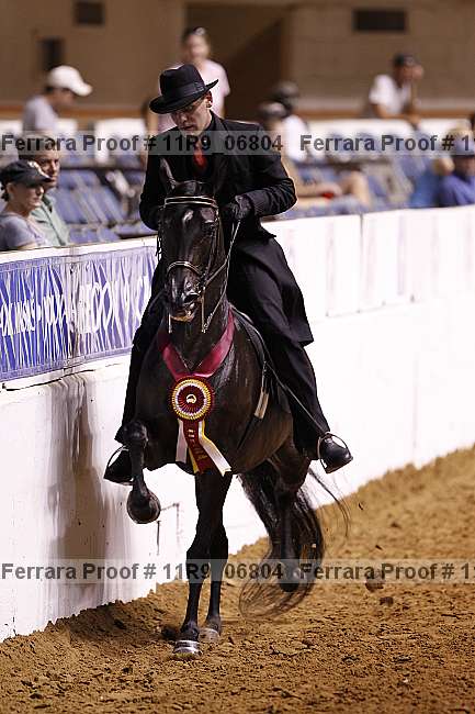 Proof 11r9_06804