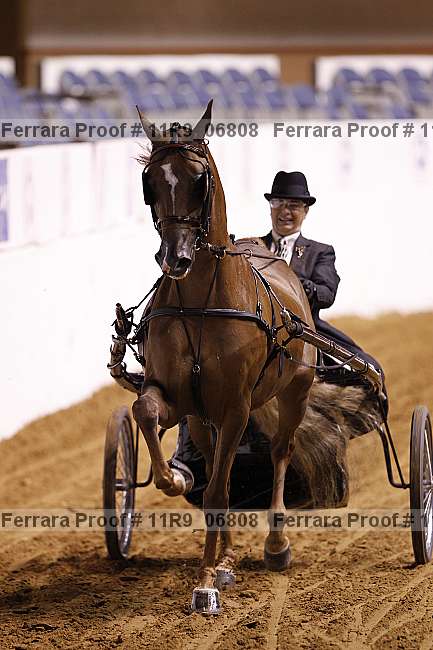 Proof 11r9_06808
