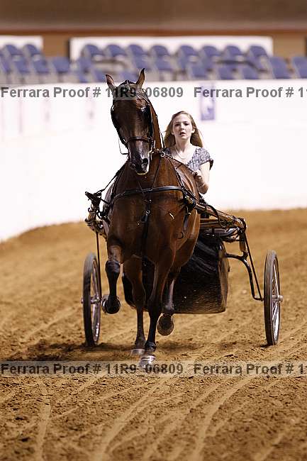 Proof 11r9_06809