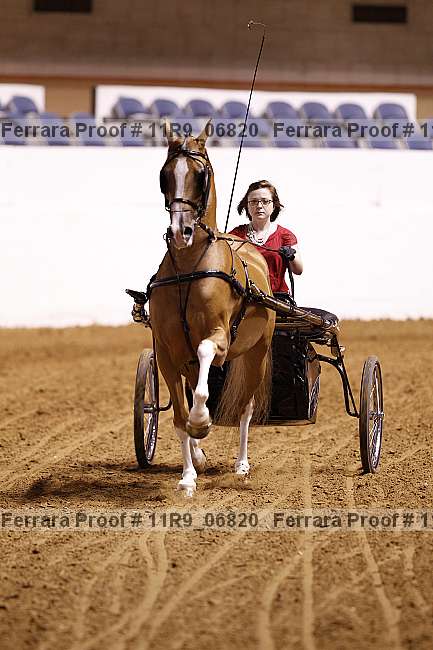 Proof 11r9_06820