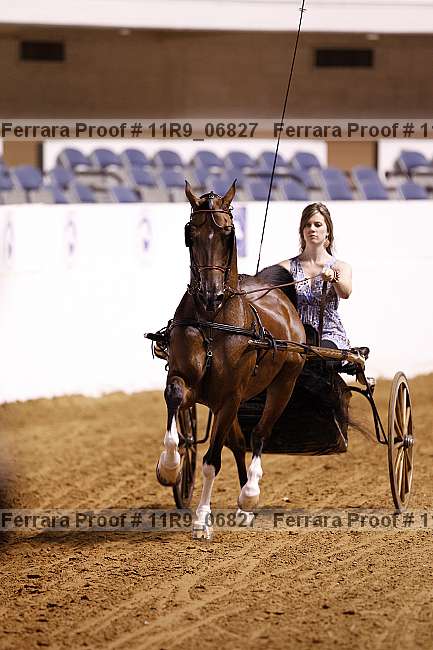 Proof 11r9_06827