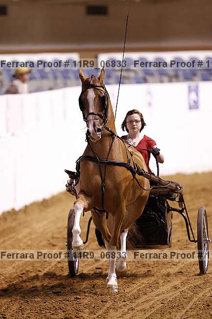 Proof 11r9_06833