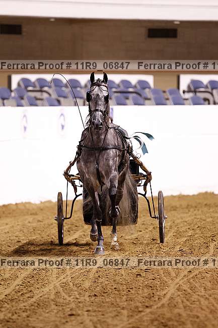 Proof 11r9_06847
