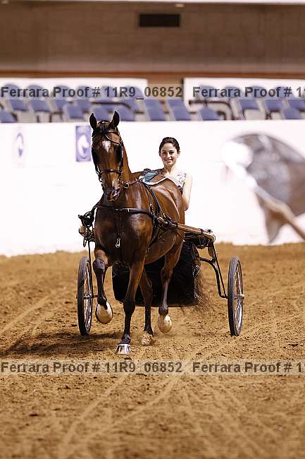 Proof 11r9_06852