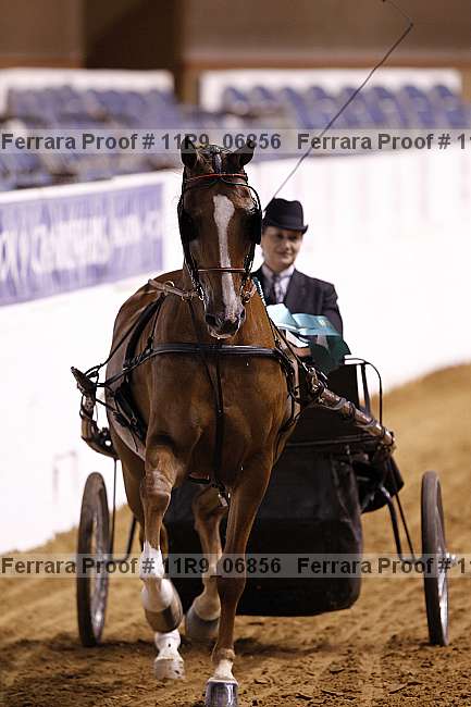 Proof 11r9_06856