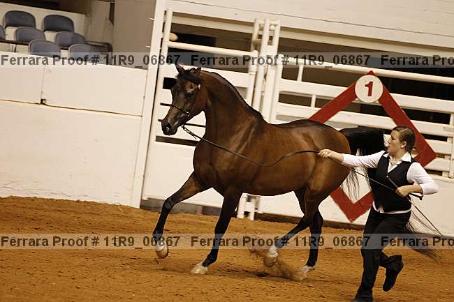 Proof 11r9_06867