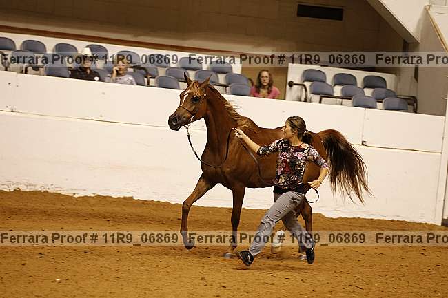 Proof 11r9_06869