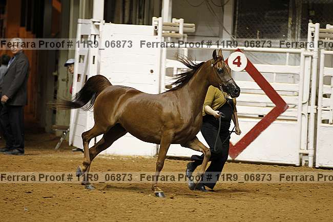 Proof 11r9_06873