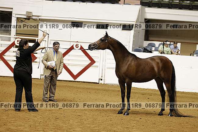 Proof 11r9_06879