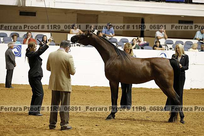 Proof 11r9_06891