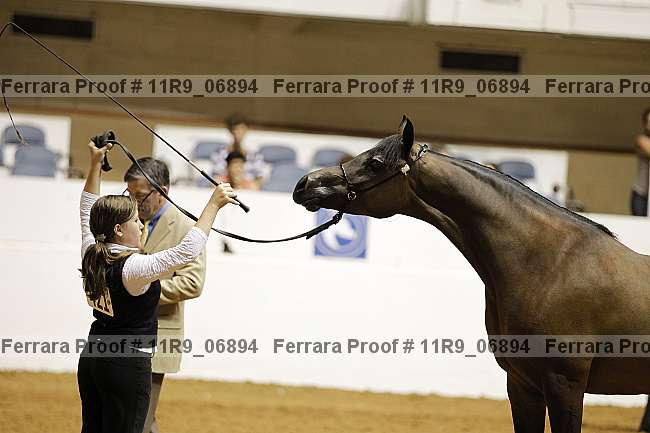 Proof 11r9_06894