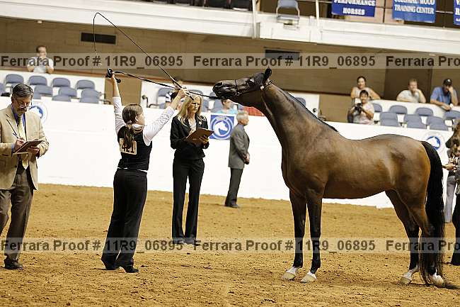 Proof 11r9_06895