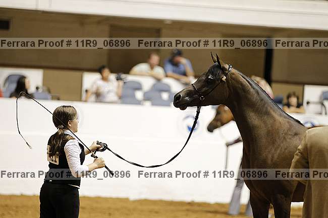Proof 11r9_06896
