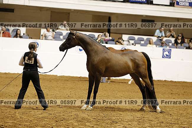 Proof 11r9_06897