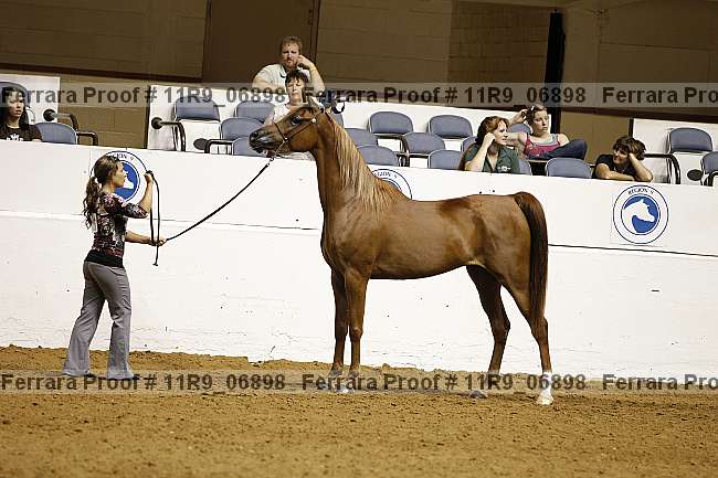 Proof 11r9_06898