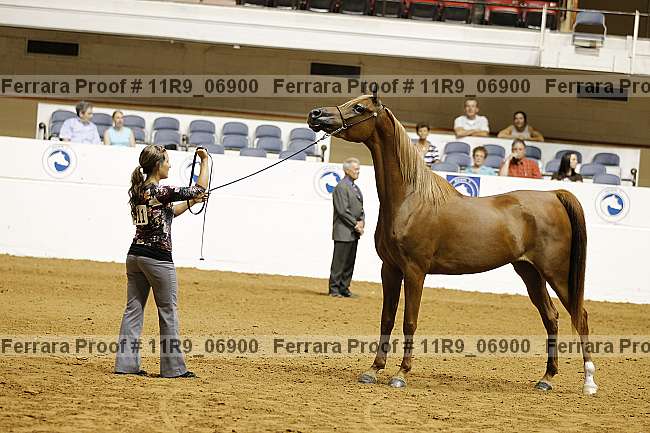 Proof 11r9_06900
