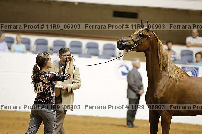 Proof 11r9_06903