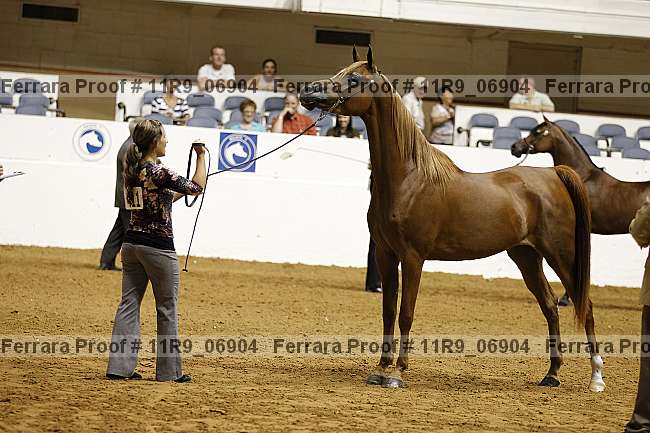 Proof 11r9_06904