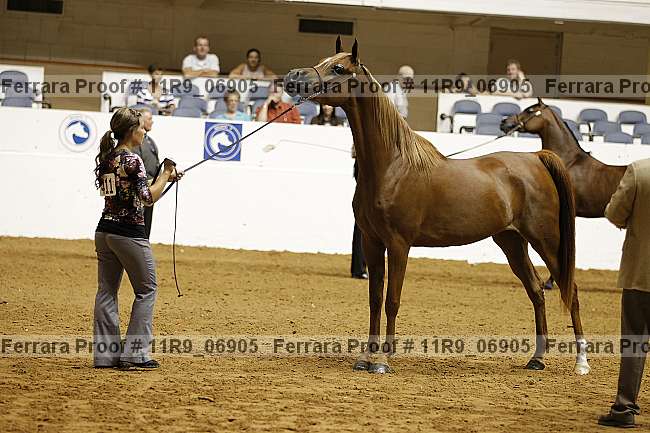 Proof 11r9_06905