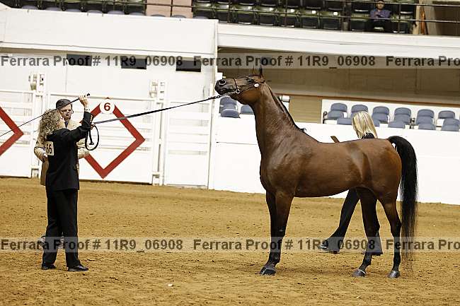 Proof 11r9_06908