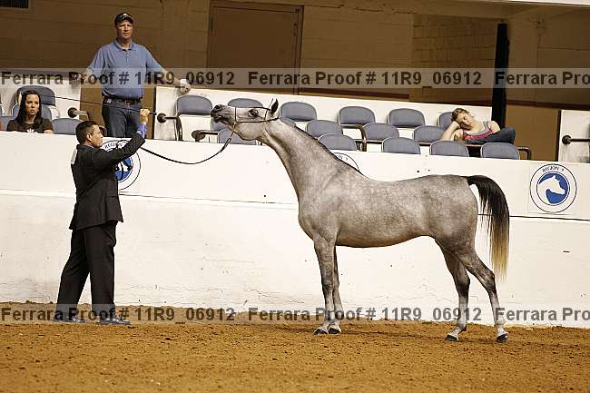 Proof 11r9_06912