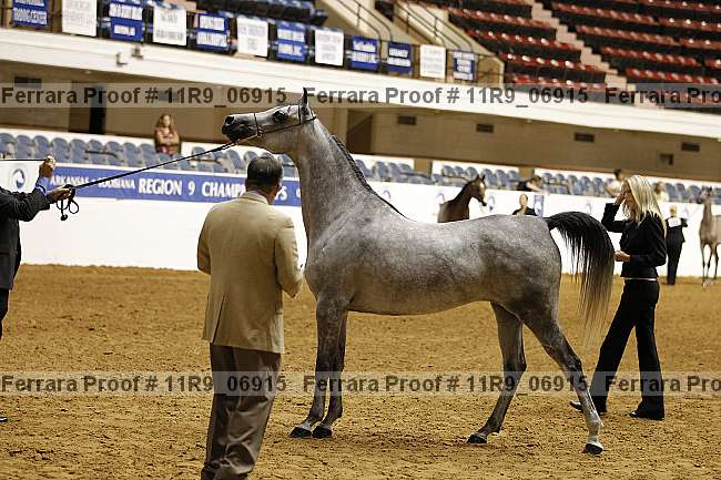 Proof 11r9_06915