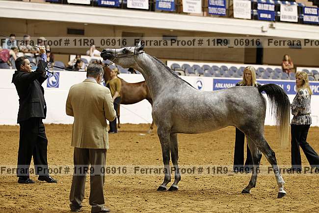 Proof 11r9_06916
