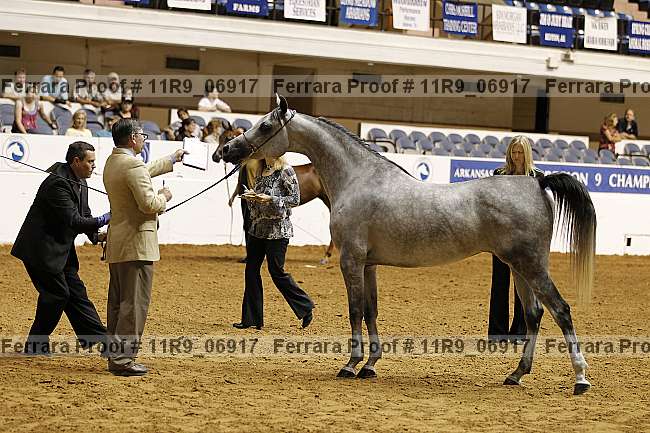 Proof 11r9_06917