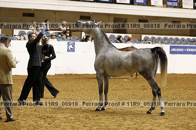 Proof 11r9_06918