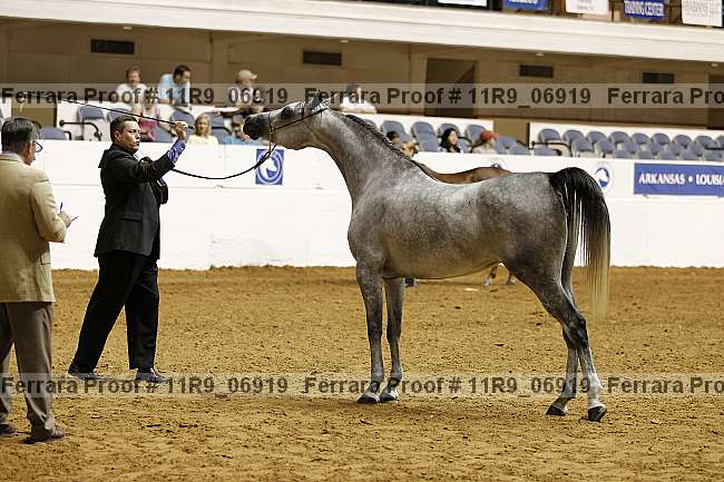 Proof 11r9_06919
