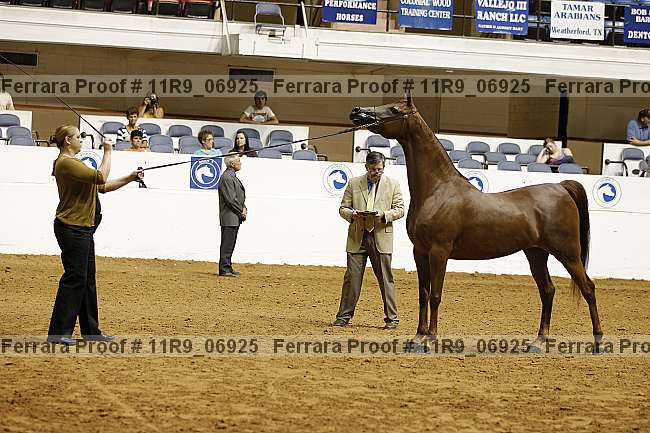 Proof 11r9_06925