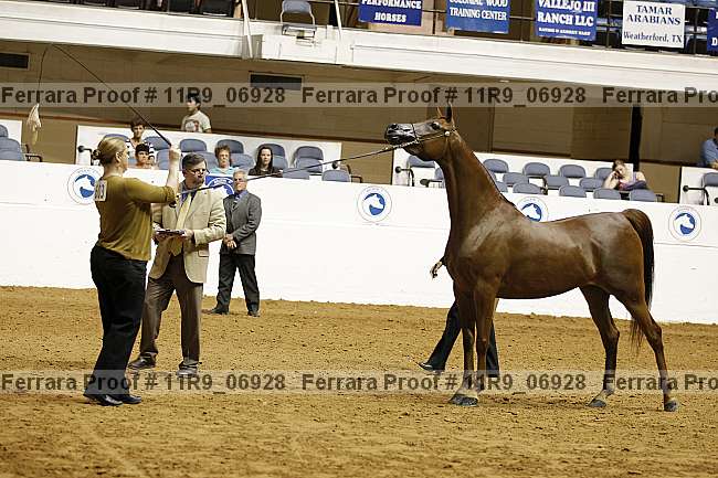 Proof 11r9_06928