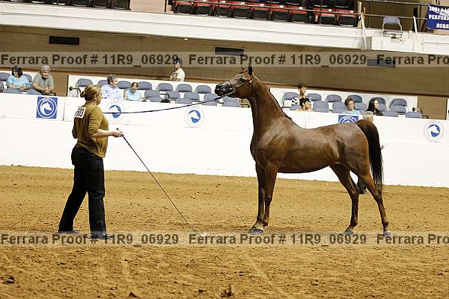 Proof 11r9_06929