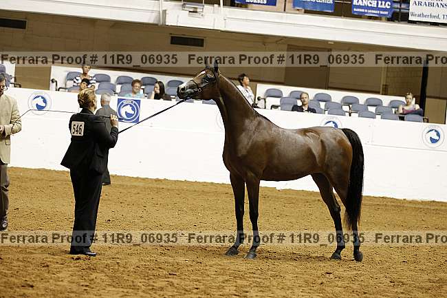 Proof 11r9_06935