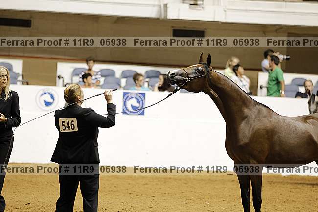 Proof 11r9_06938