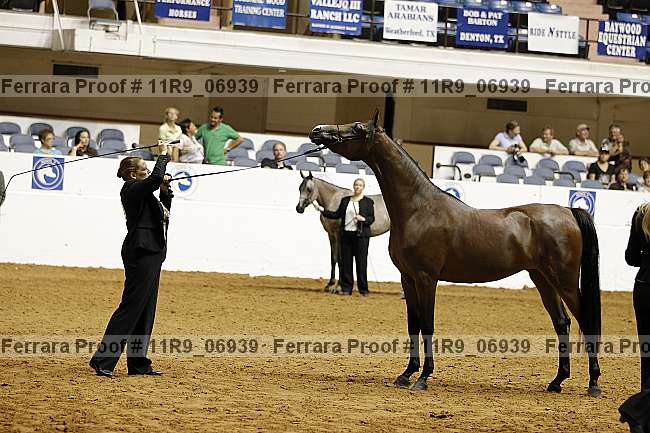 Proof 11r9_06939
