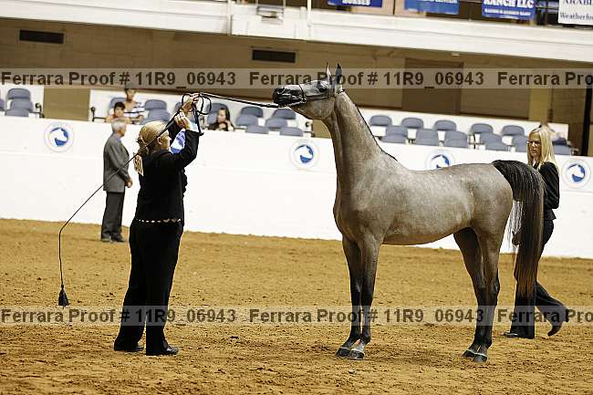 Proof 11r9_06943