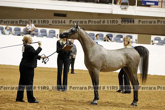 Proof 11r9_06944