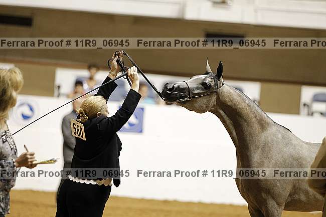 Proof 11r9_06945