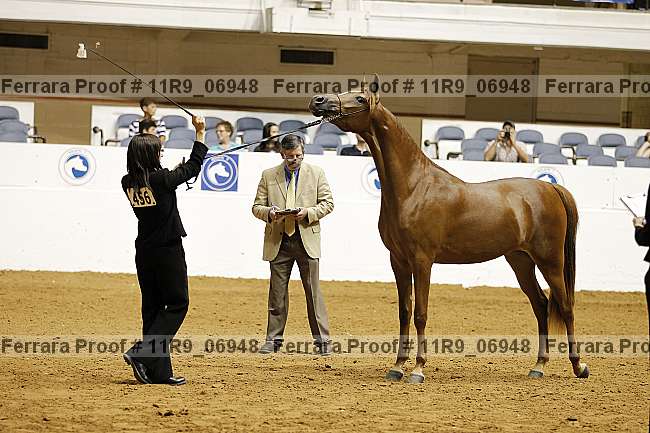 Proof 11r9_06948