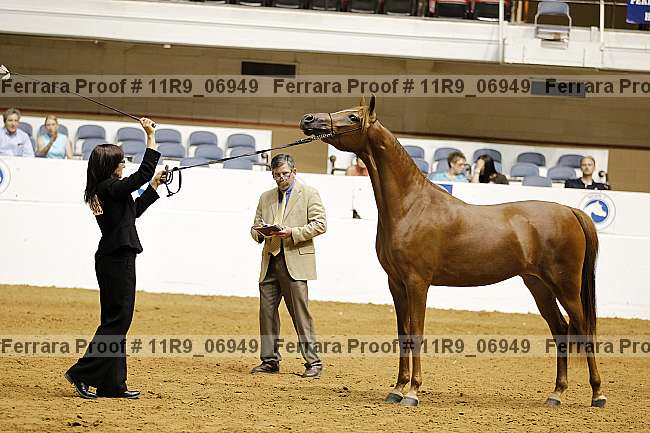Proof 11r9_06949