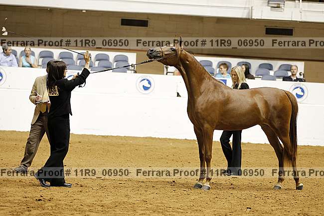 Proof 11r9_06950