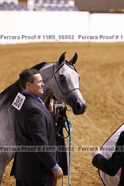 Proof 11r9_06952