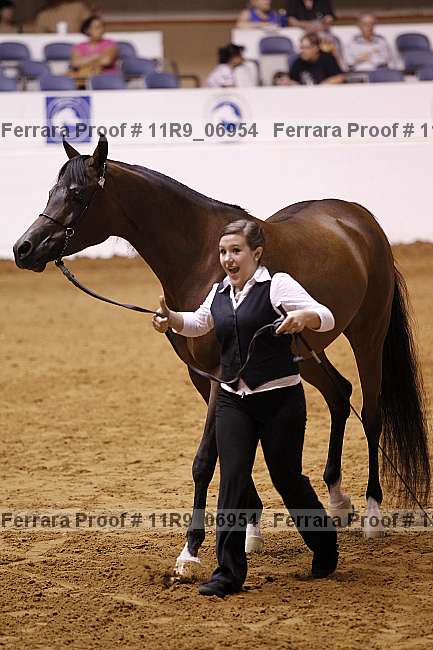 Proof 11r9_06954