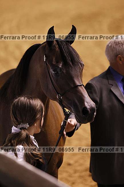 Proof 11r9_06955