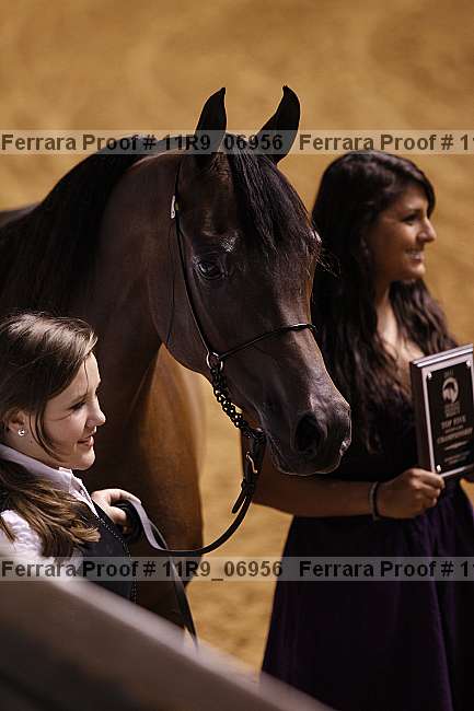 Proof 11r9_06956