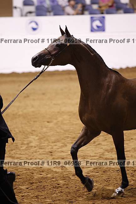 Proof 11r9_06958